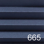 FAKRO_plisse_aps_665