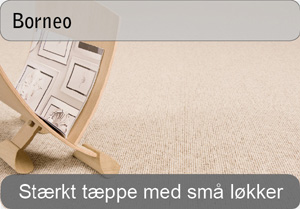 Borneo - stuet&aelig;ppe